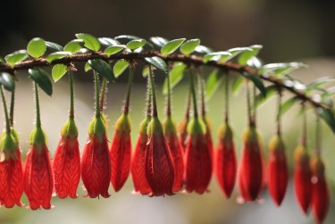 中山板芙私人快速借钱网，轻松解决资金难题