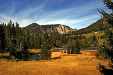 中山板芙民间私贷攻略：揭秘低成本借贷的秘密