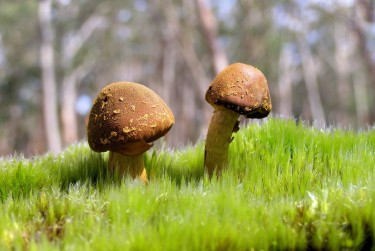 中山板芙私人老板放款：轻松融资的秘密通道